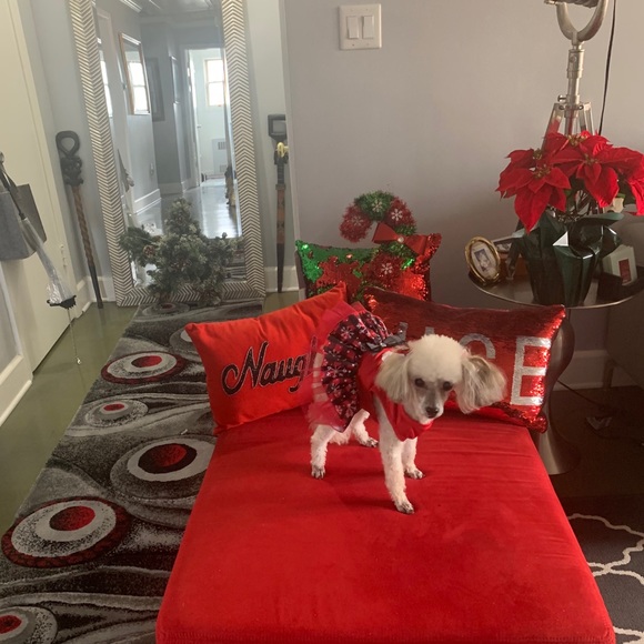 Meet your Posher, Rosalind - Picture 3 of 3